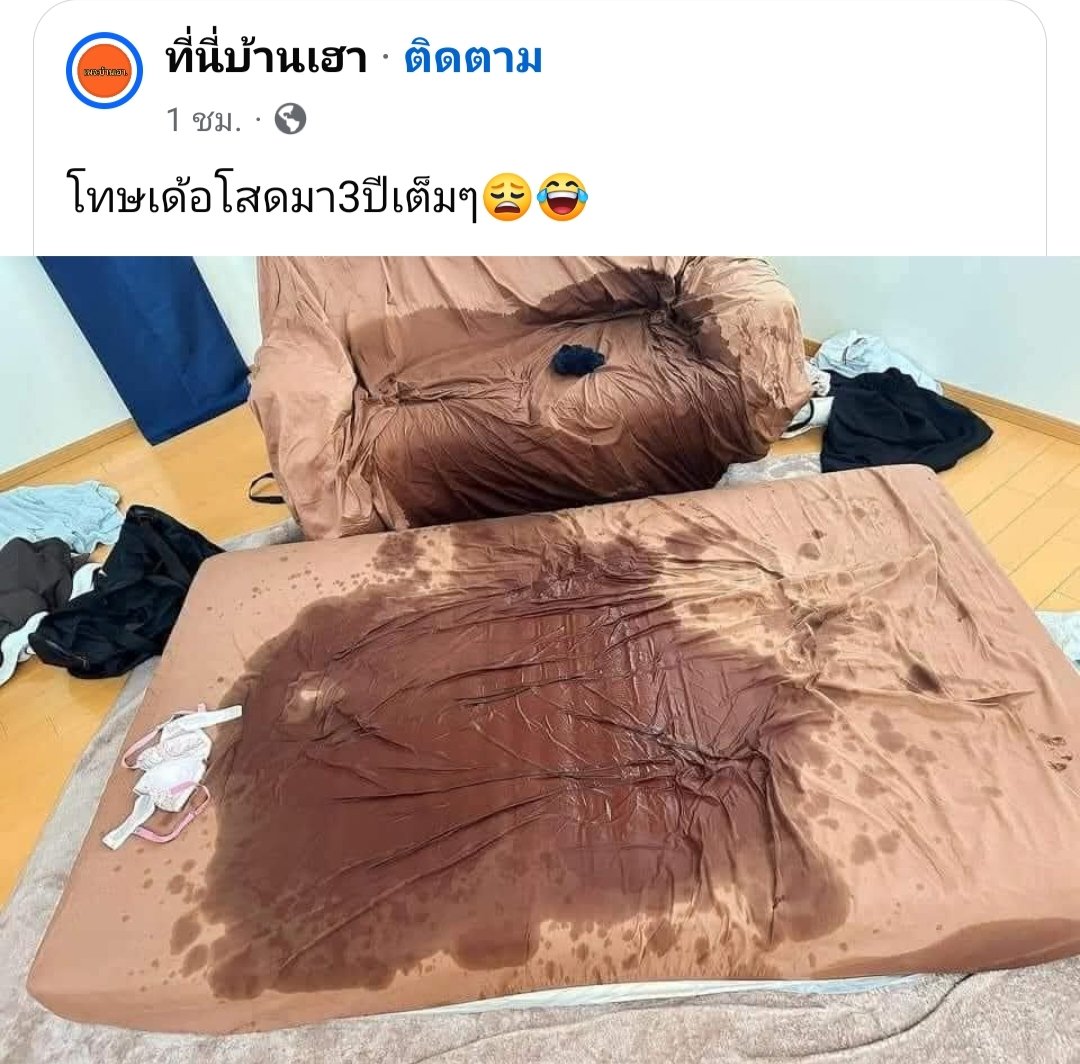 🐷อ๋อหรอ 🐷 tweet media