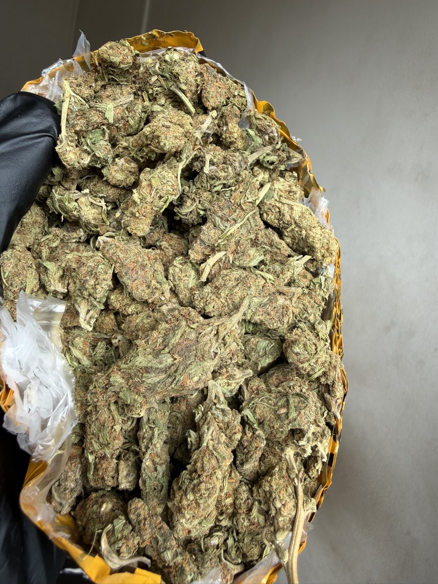 HIGHEST IN THE ROOM tweet media