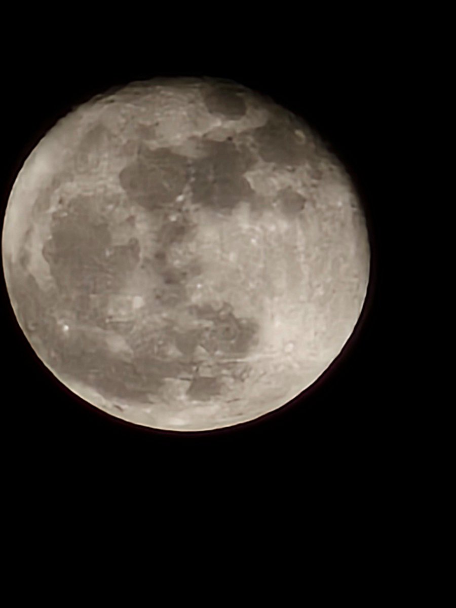 Atlanticus ☀️ tweet media