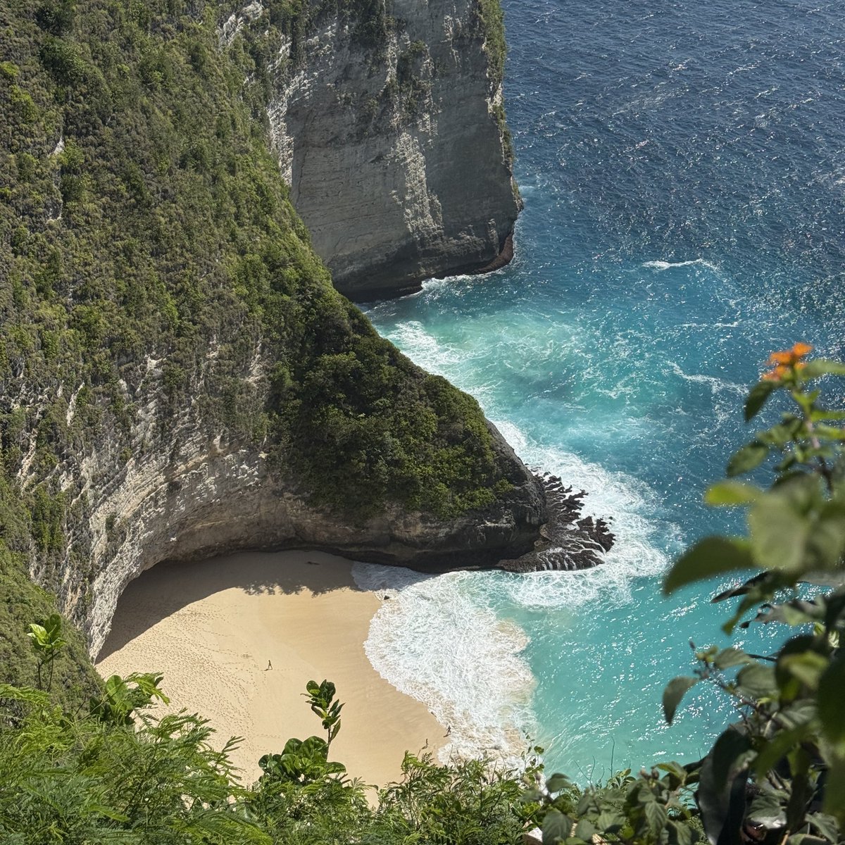 صُـهيب tweet media