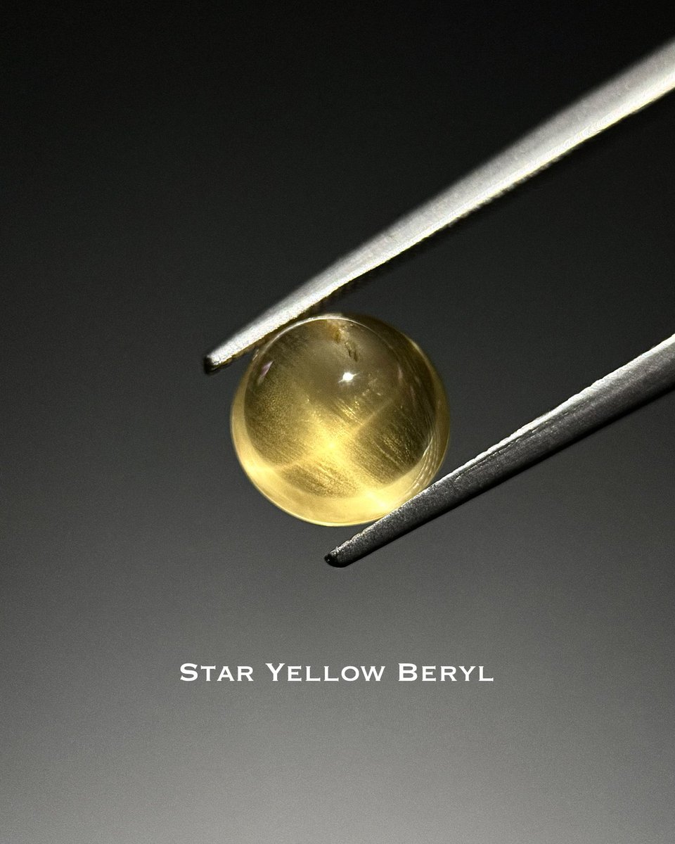 fancygems tweet media