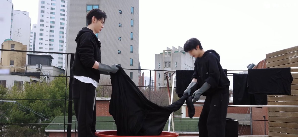 acervo sunsun tweet media