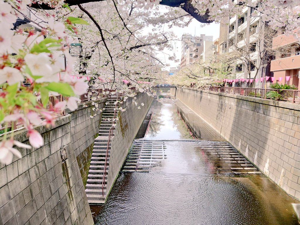 chika@GB350S & GROM(JC92) tweet media