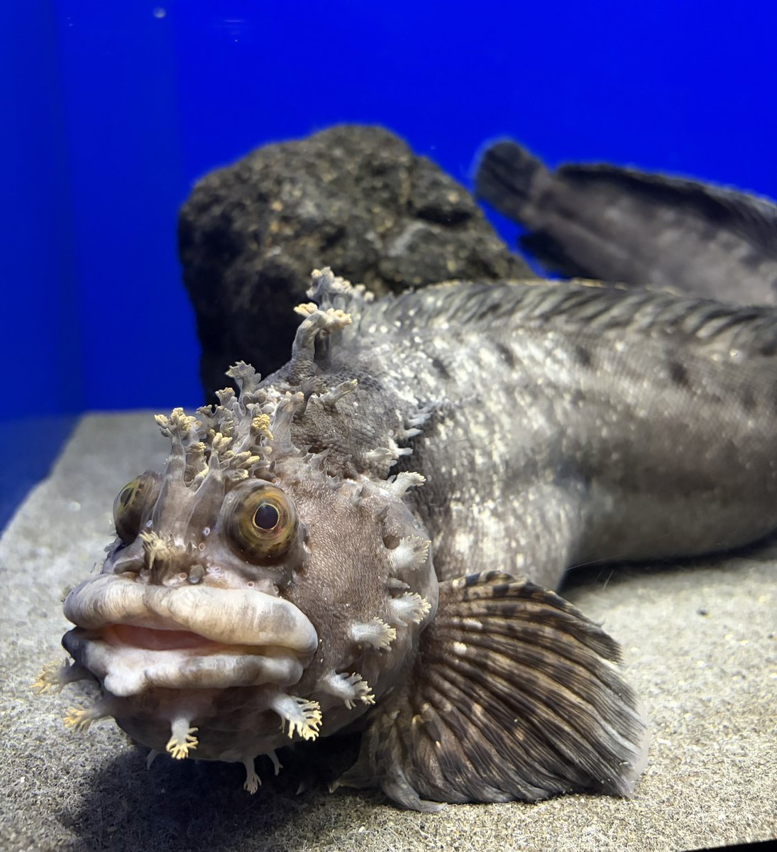 てっぷー@仮想通貨投資家 tweet media