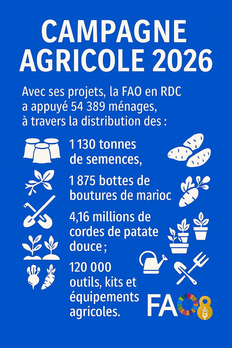 FAORDCongo's tweet image. 🌱 Campagne agricole – Saison A 2⃣0⃣2⃣6⃣
Grâce au 💰@Banquemondiale, #Swisse, #Norvège, #Suède et  #GAFSP, la @FAORDCongo a appuyé en intrants agricoles 5⃣4⃣3⃣8⃣9⃣ ménages dans 7⃣ provinces ciblées en #RDC.

#SécuritéAlimentaire #Agriculture #FAORDC