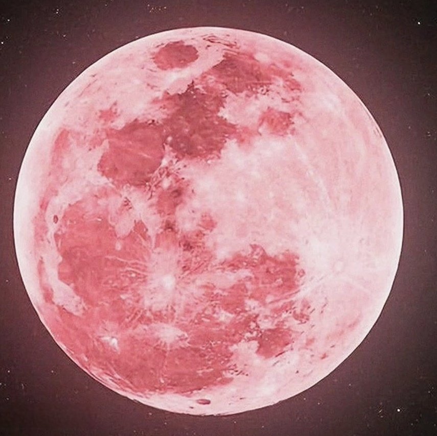 Breathdoll🌻 tweet media