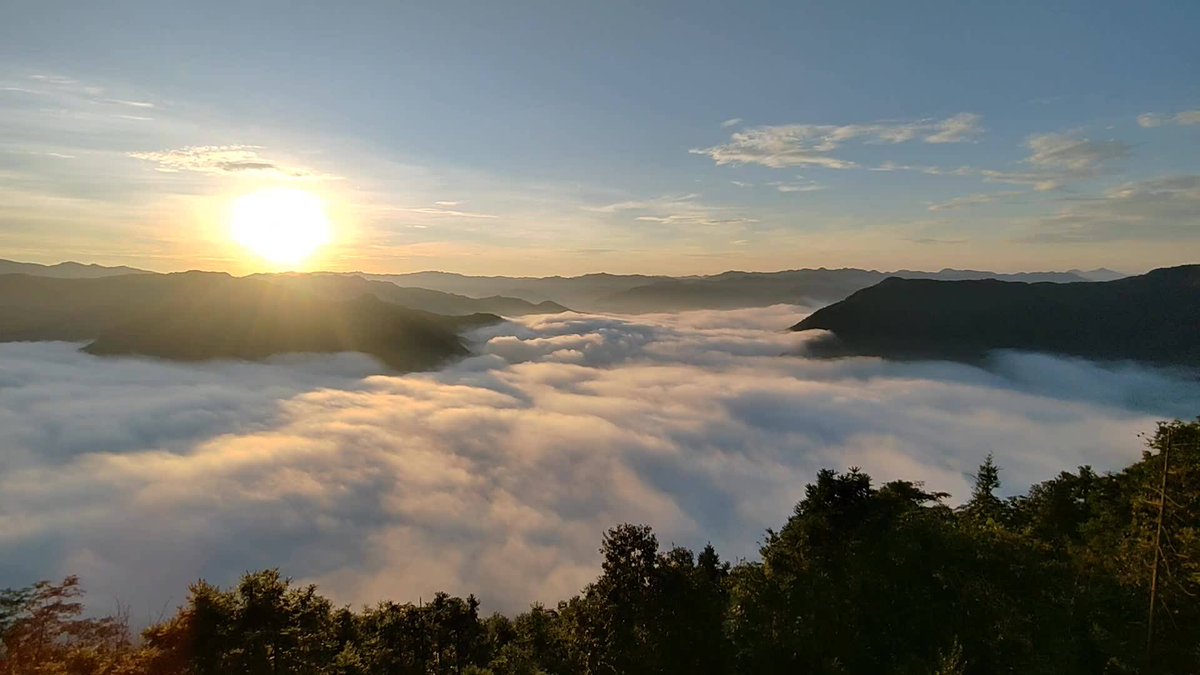 tornok1@hotmail.com tweet media