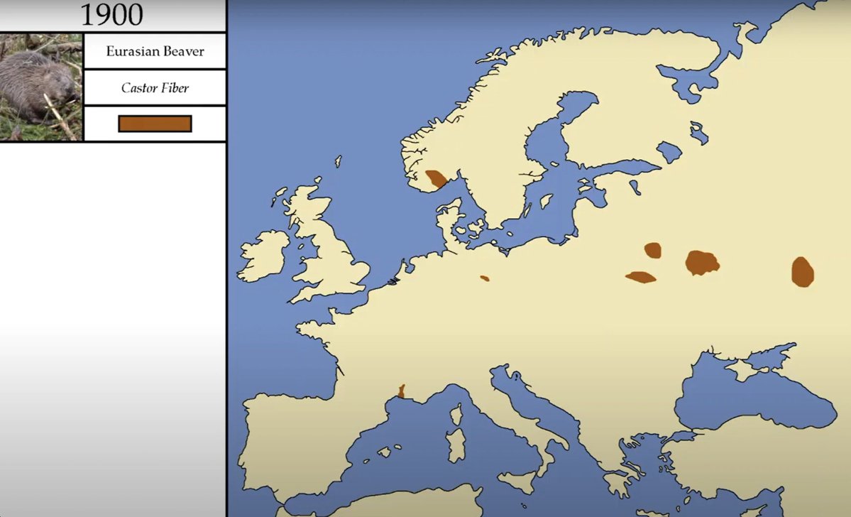 Filiżanka — Польша Новости tweet media