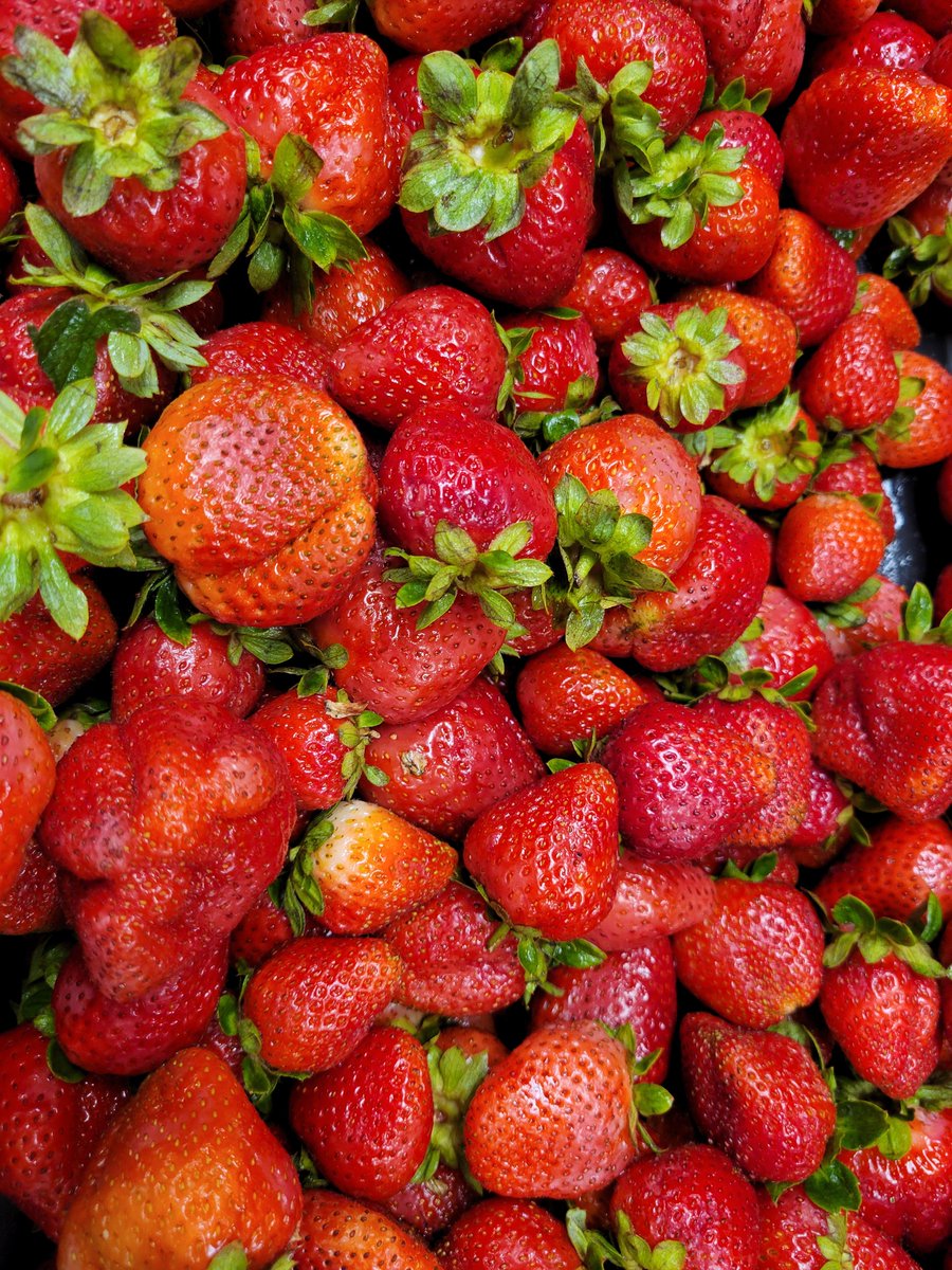 Red Apple Dining tweet media