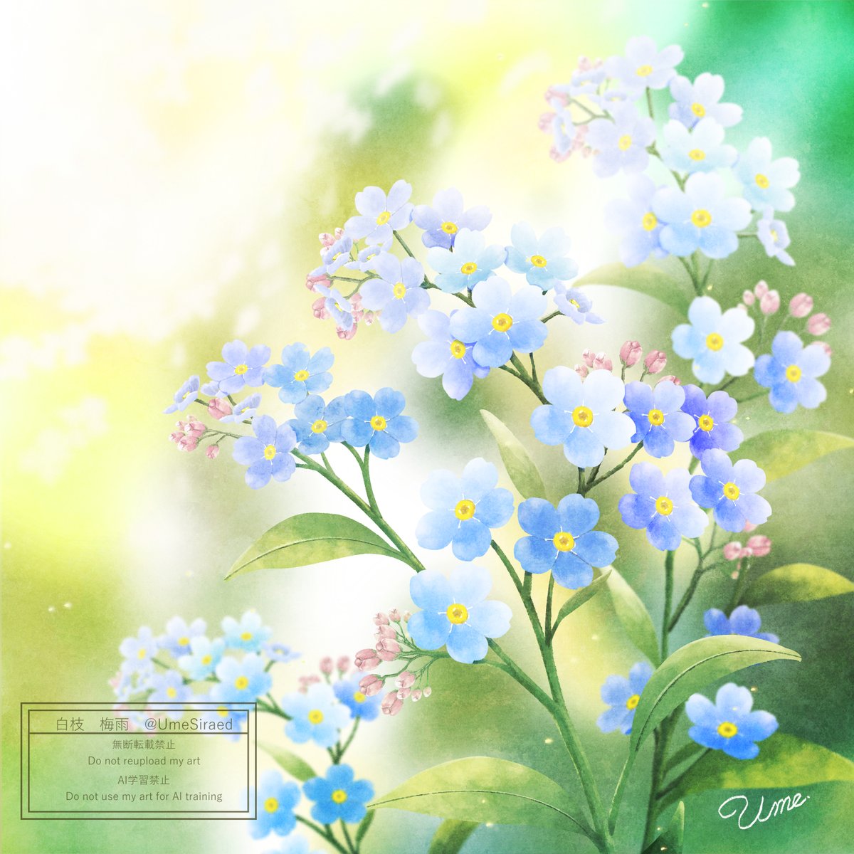 UmeSiraed's tweet photo. 今日のイラスト～ https://t.co/jSIYb6L4xp