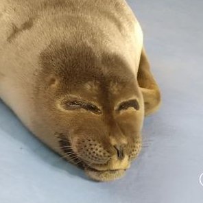 we must imagine brighter days ahead🌅