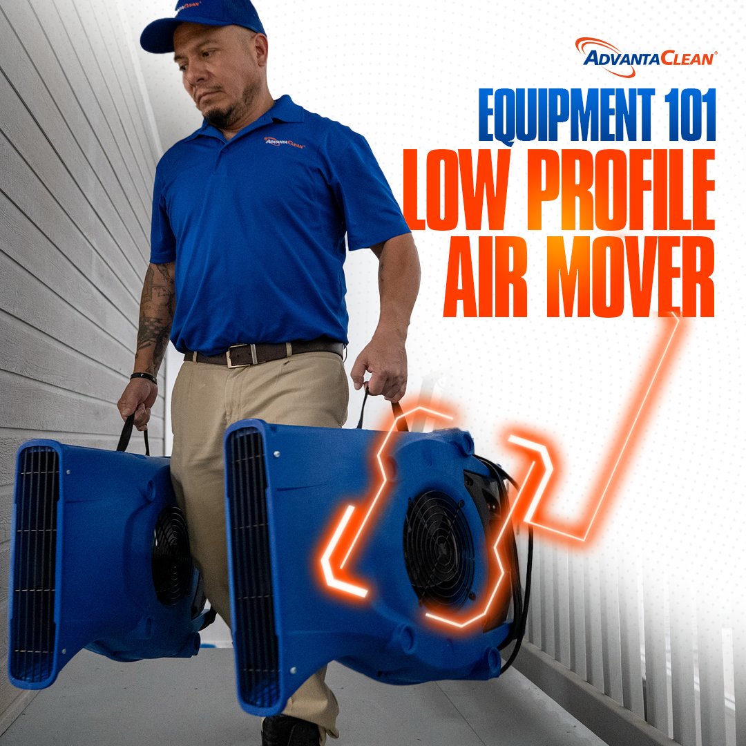 AdvantaClean Of Fort Lauderdale tweet media