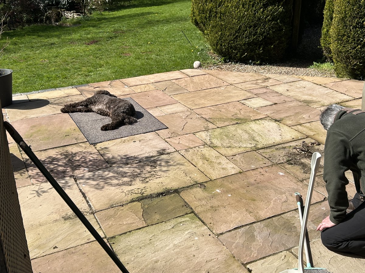 Archimedes of Somerset tweet media