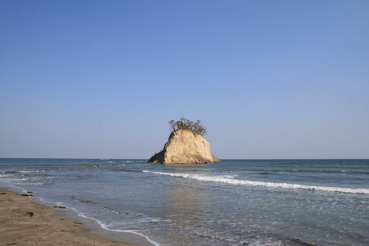 はまち tweet media