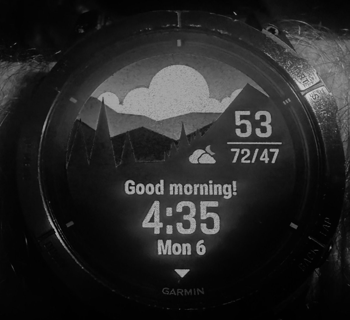 Paul Mac Lean. tweet media