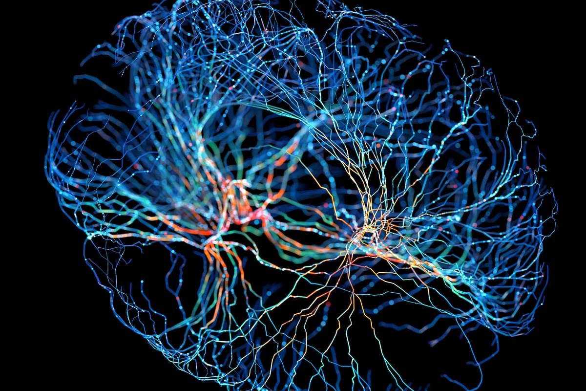 Nicholas Fabiano, MD tweet media