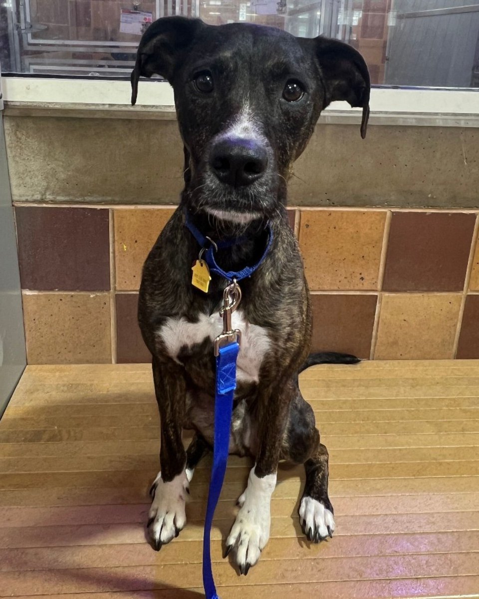 Lisa Brabson. tweet media