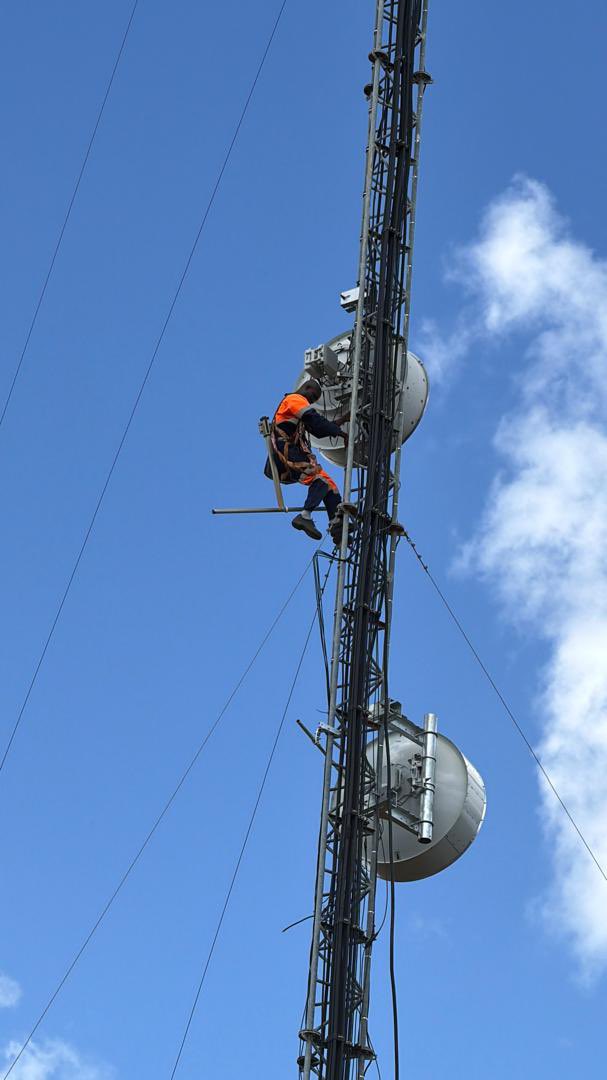 Nick Mangwana tweet media