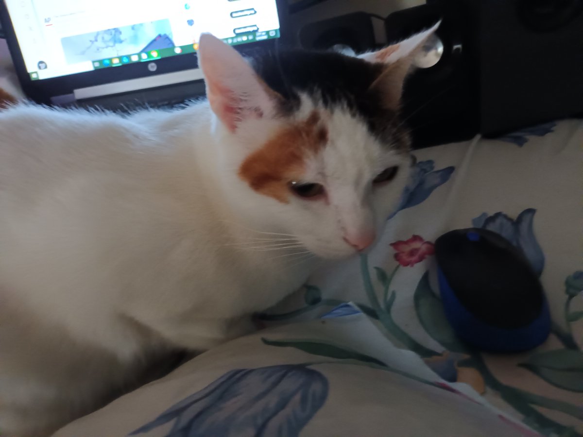 Thecoffeeorwine tweet media