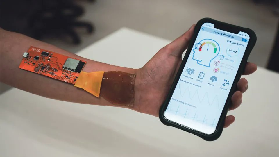 MouserElecEU's tweet image. Researchers have developed a skin-like hydrogel #sensor with built-in #AI, enabling precise and motion-resistant electrocardiogram (ECG) and blood pressure readings, along with 92% accuracy in fatigue detection. 

⌚📊 mou.sr/412o5eG