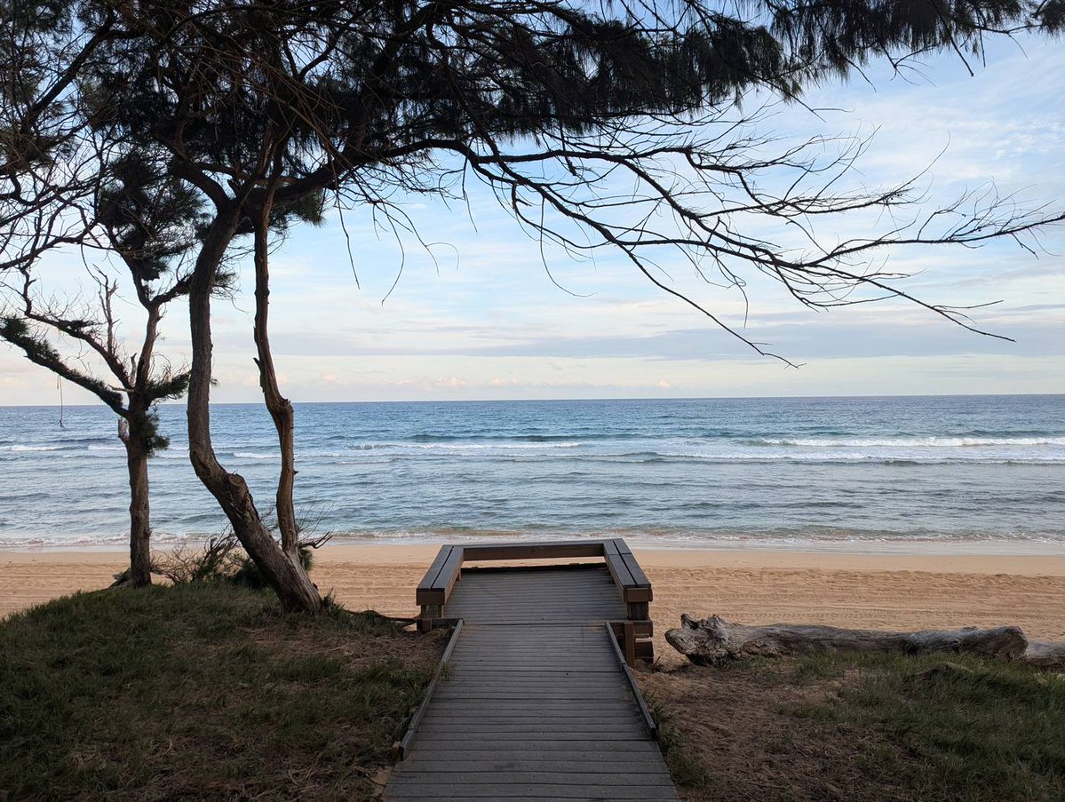 Lex White tweet media