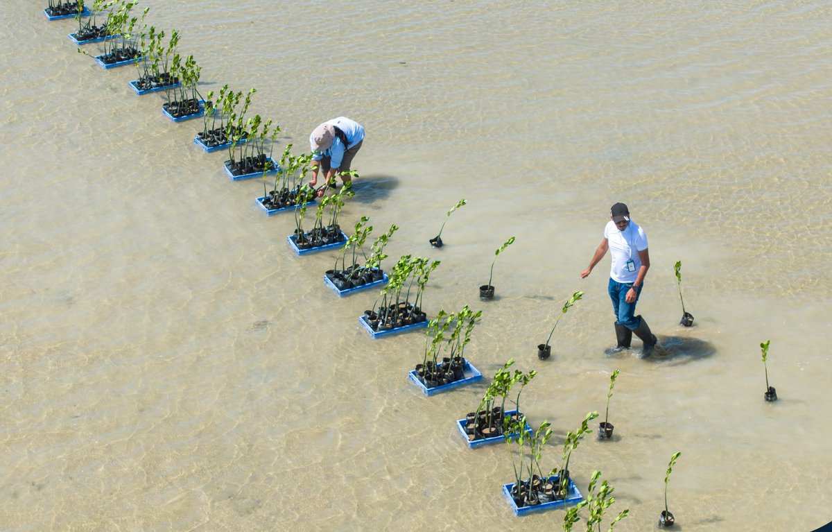 نيوزلي tweet media