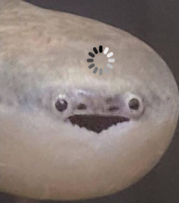 유바람 tweet media