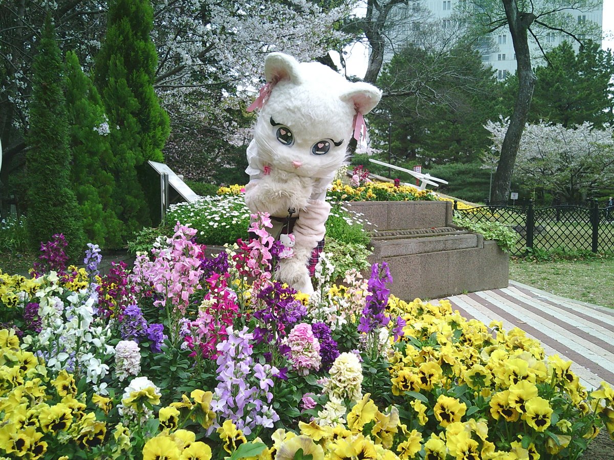 ミスティ日記♡ tweet media