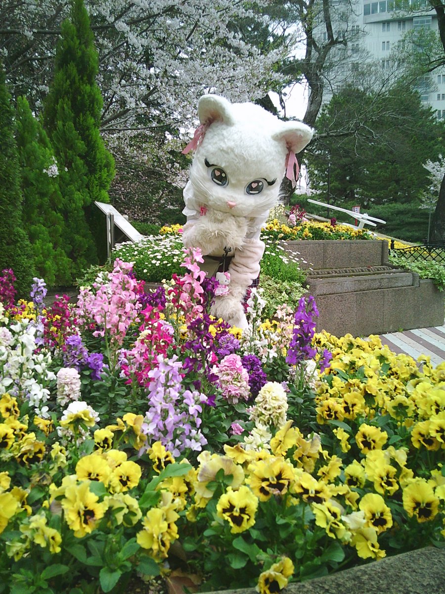 ミスティ日記♡ tweet media