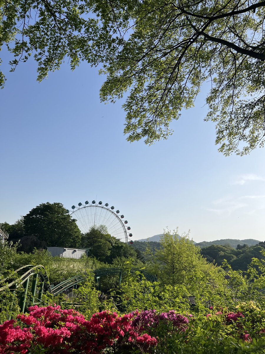 햄티기 tweet media