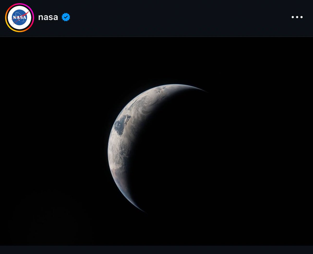 IAmHaule tweet media