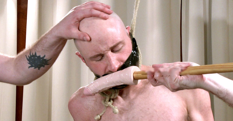 straighthellvideos tweet media