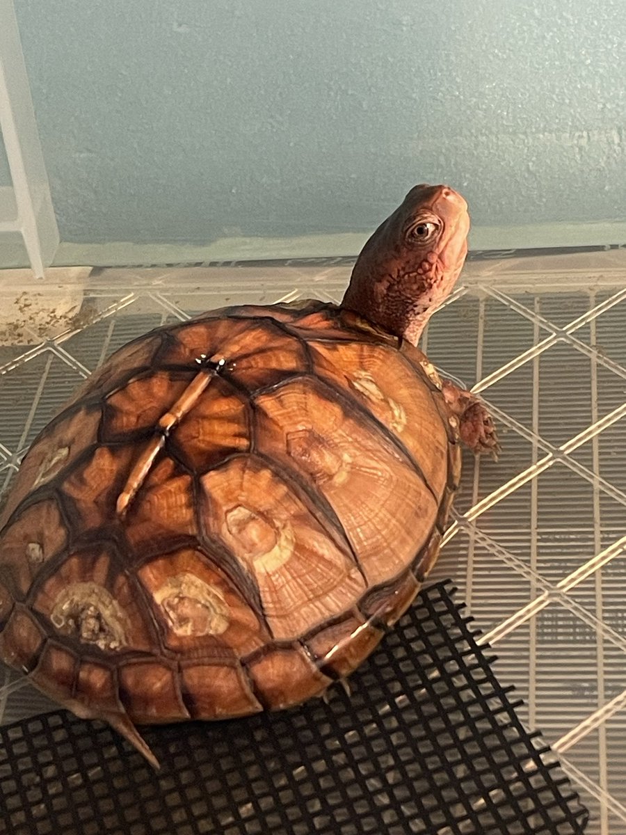 KEN☆○★ tweet media