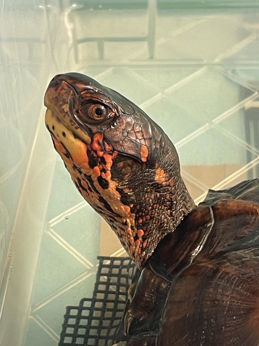 KEN☆○★ tweet media