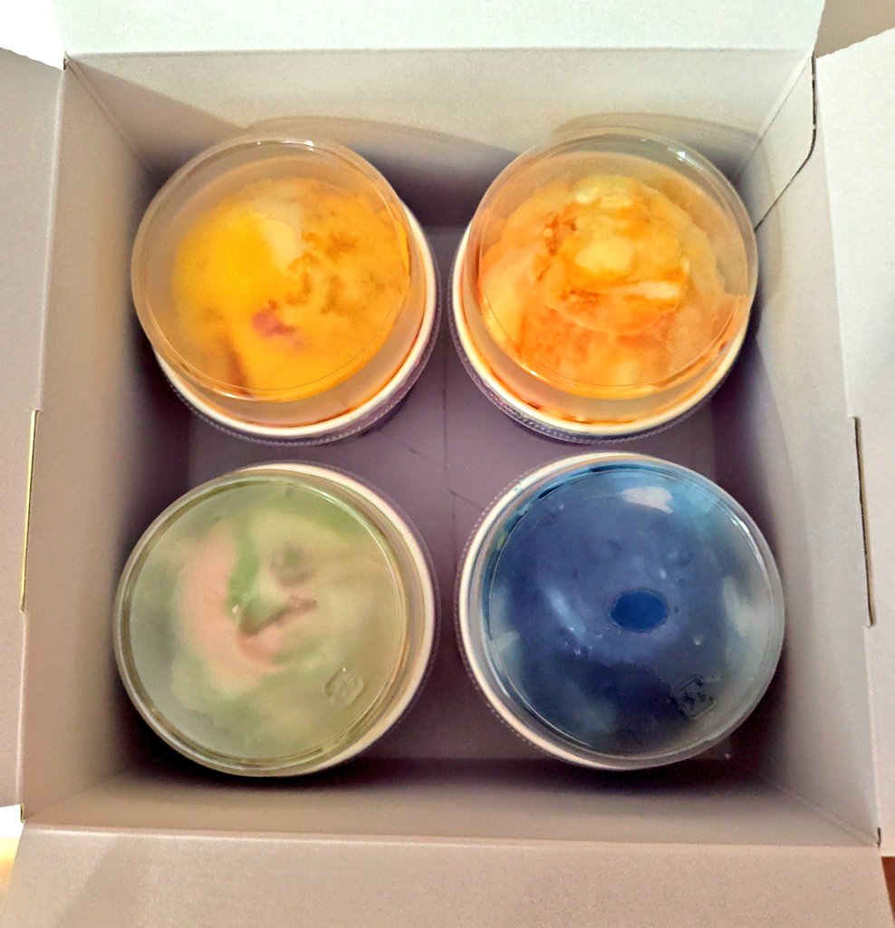 ぽーねっと tweet media