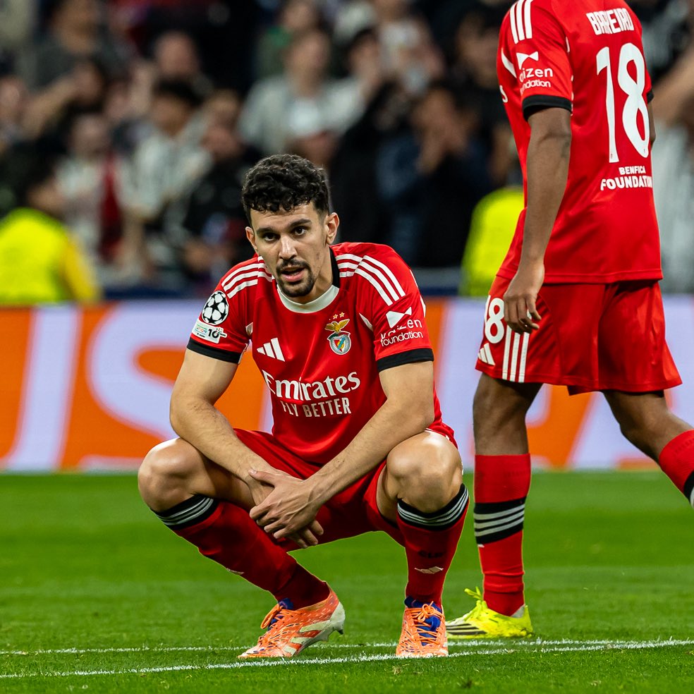 بنفيكا بالعربي tweet media