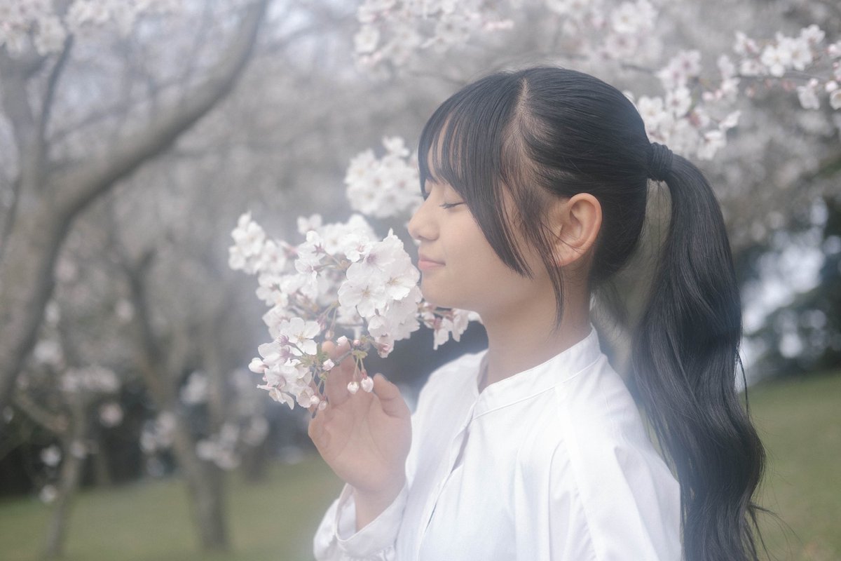 rm_tg__03's tweet photo. 3月の桜の撮影会にて🌸 https://t.co/urXeODV6lK