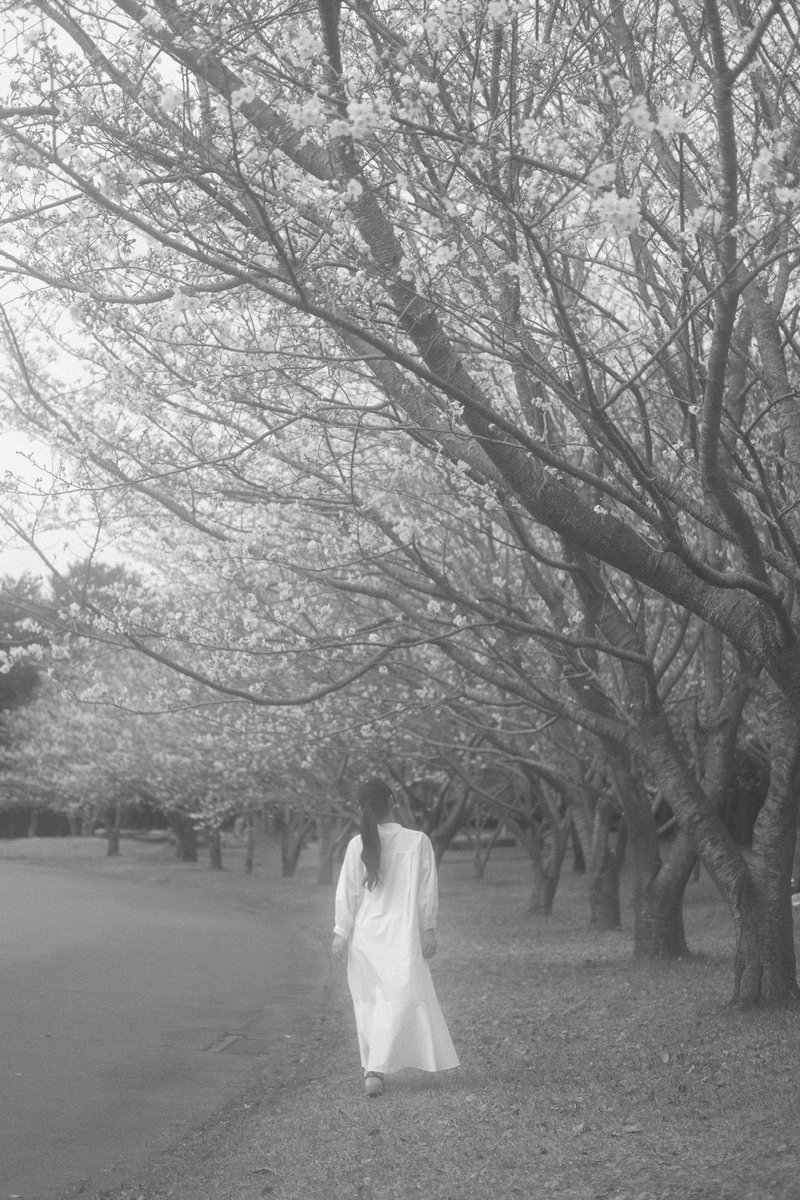 rm_tg__03's tweet photo. 3月の桜の撮影会にて🌸 https://t.co/urXeODV6lK