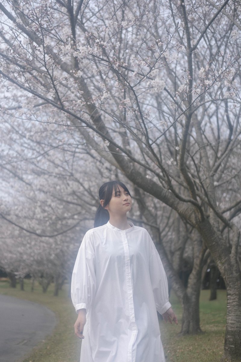 rm_tg__03's tweet photo. 3月の桜の撮影会にて🌸 https://t.co/urXeODV6lK