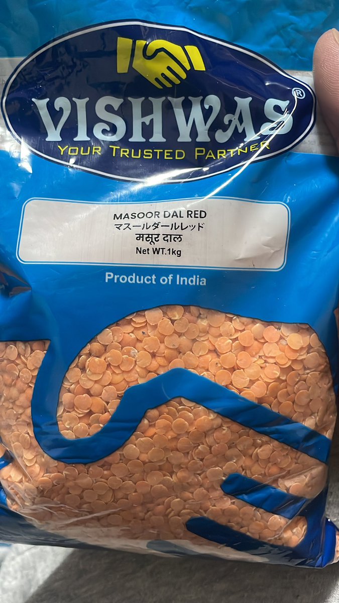 赤い和狐 tweet media