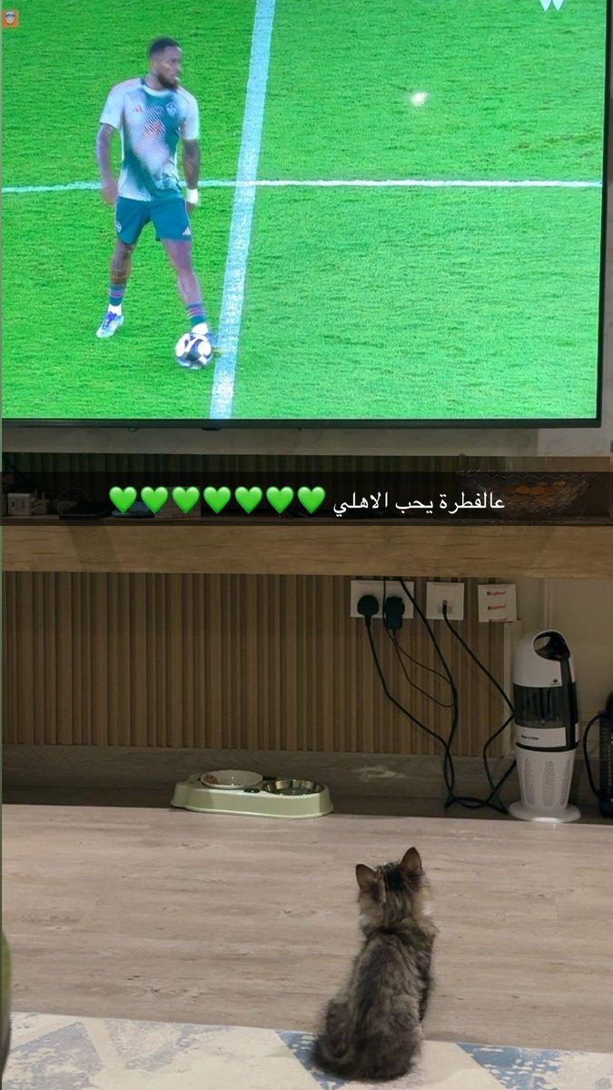 Ruwayda_4's tweet photo. ولدي ✨مرزوق✨ الله يحفظه ويخليه ليا ويبلغني فيه https://t.co/QrAKcHABFO