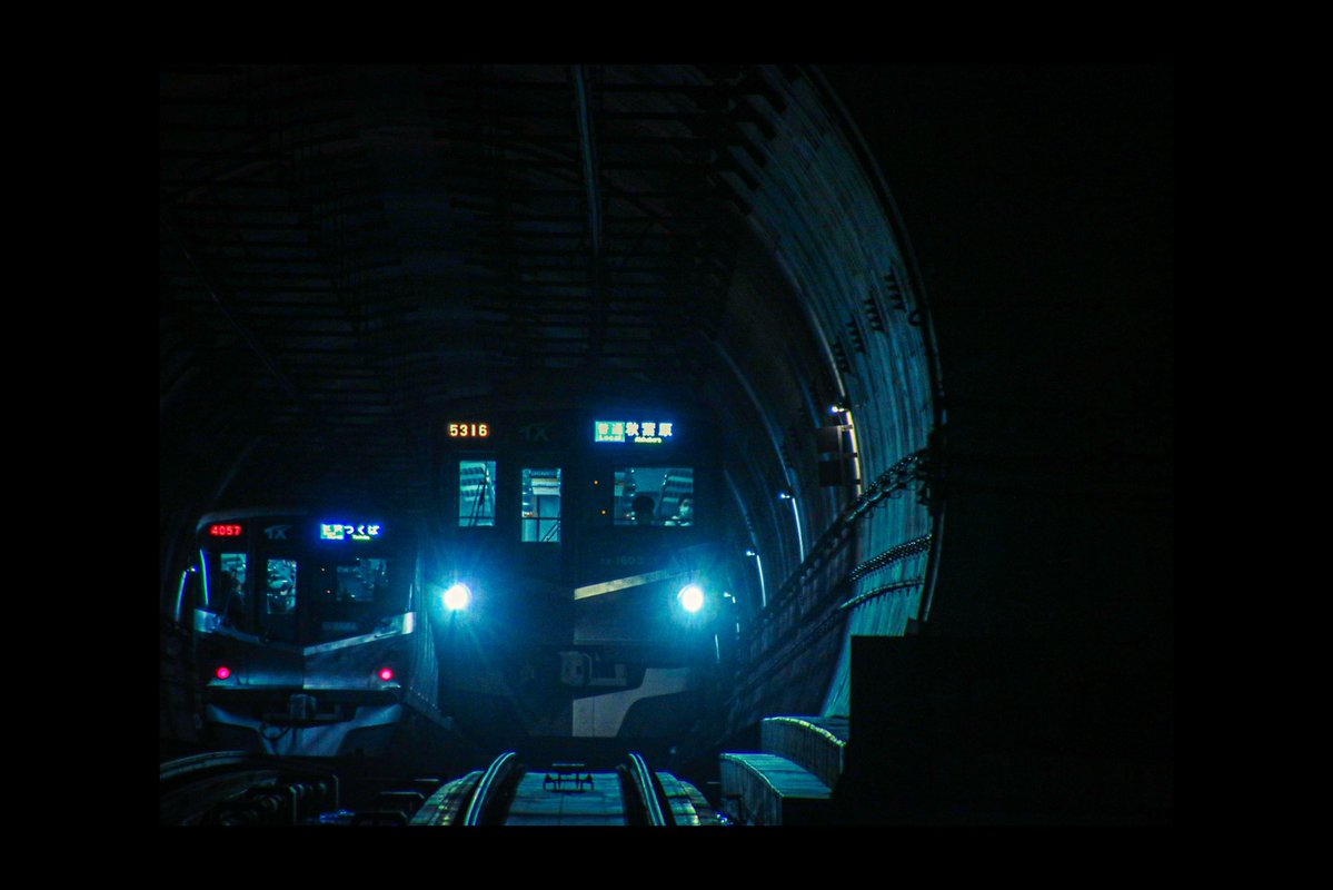 荏胡麻箱 tweet media