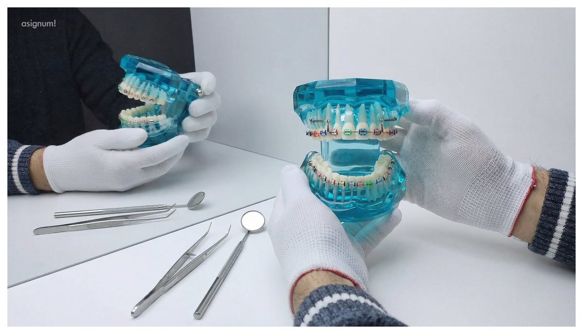 asignum | Interactive Digital Technology Solutions tweet media