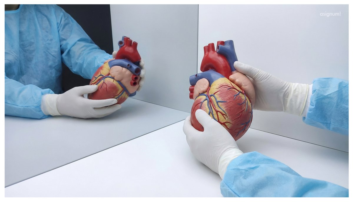 asignum | Interactive Digital Technology Solutions tweet media