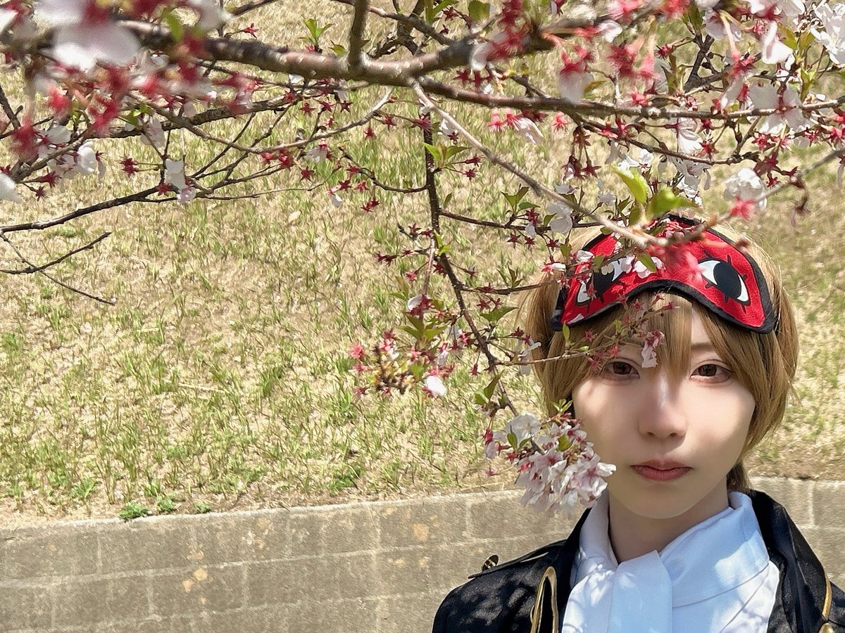 さくらもち tweet media