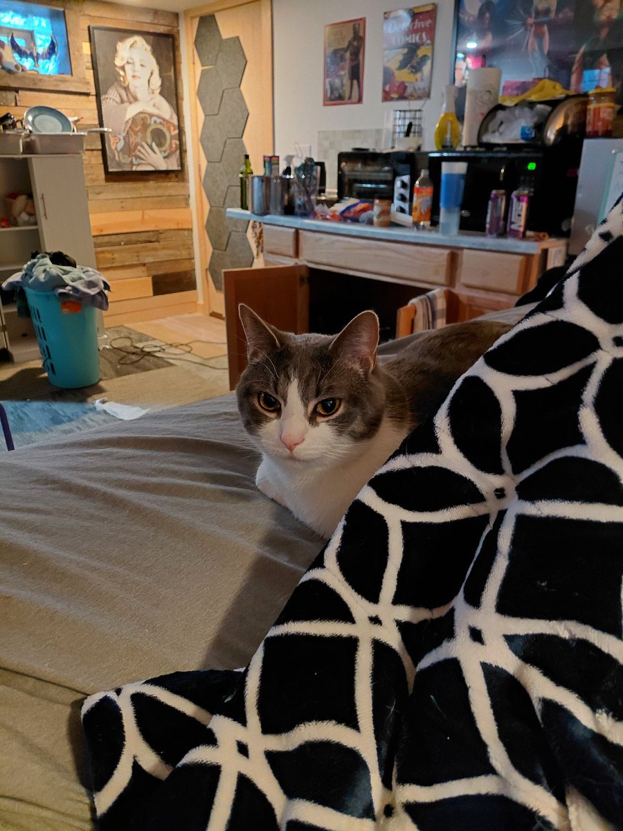 SkrungusDaisy's tweet photo. Who the fuck does he think he's looking at https://t.co/RVZu9j0Dwc
