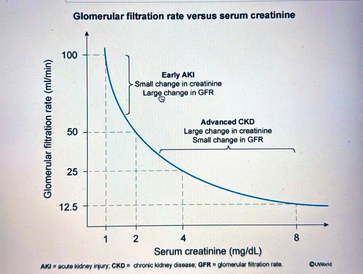 Franklin Loachamin tweet media