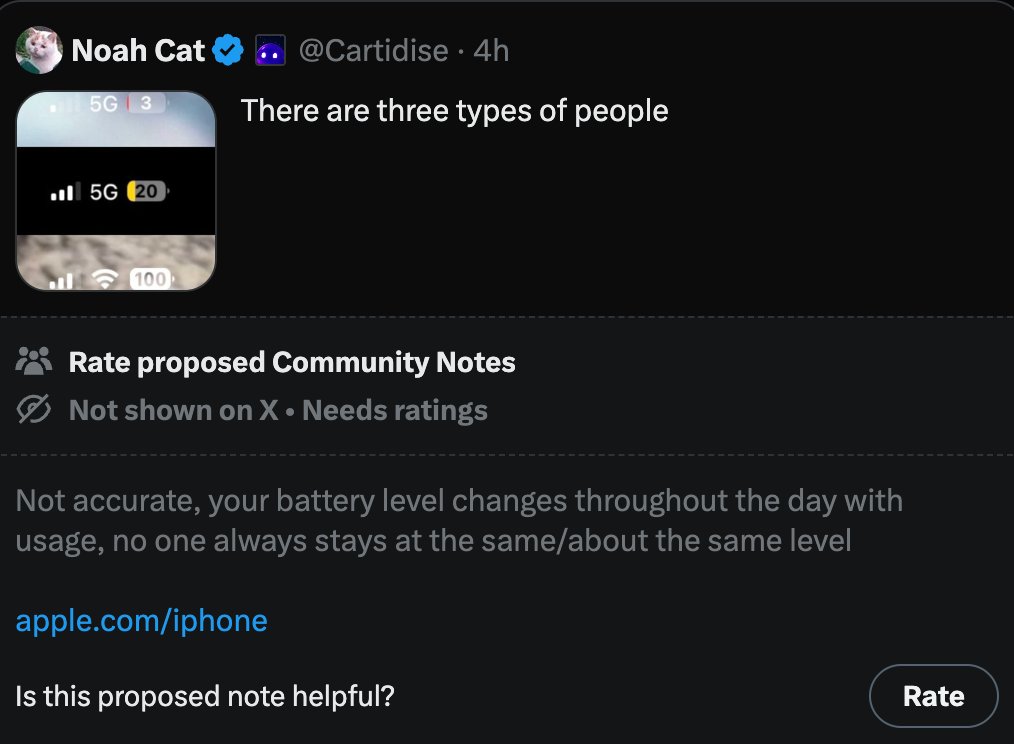 Noah Cat tweet media