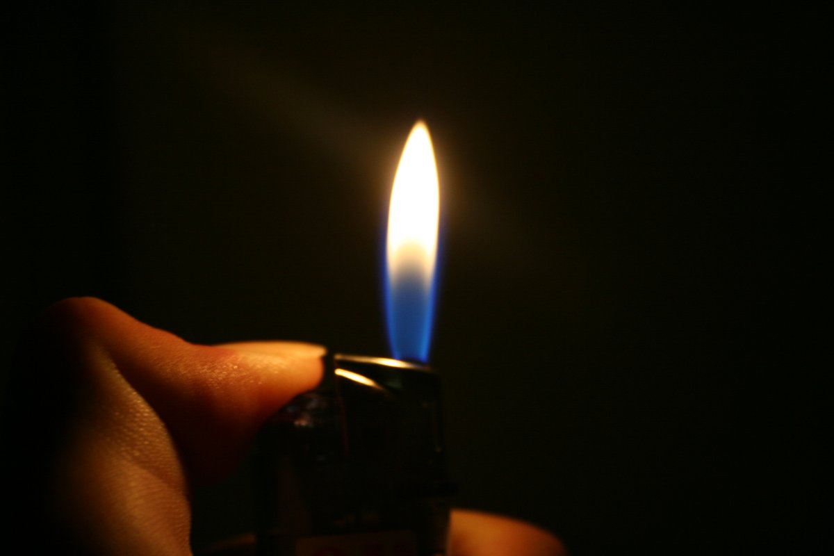 🇯🇵かえる 🇺🇸Frog tweet media