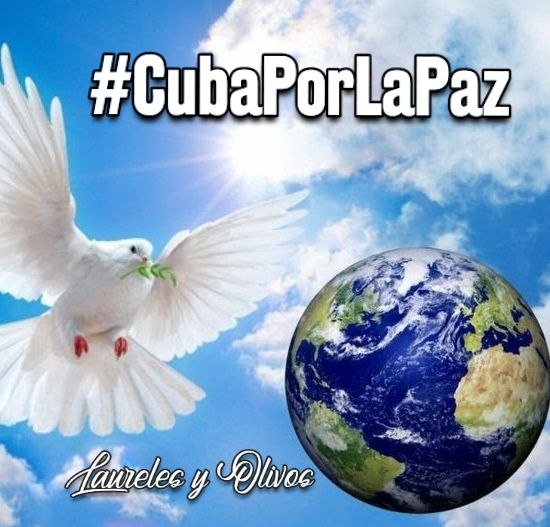 Pepe Sam Mzllo tweet media